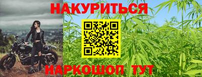 шишки Бузулук