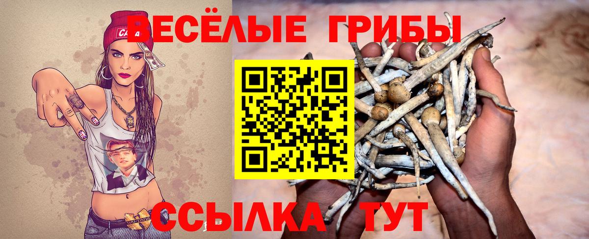 Псилоцибиновые грибы Cubensis  Псилоцибиновые грибы Psilocybe  Вход с VPN  Среднеуральск 